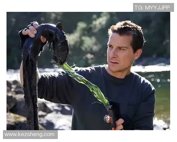 阿根廷独立与贝尔的传奇交汇:历史与足球的碰撞之旅